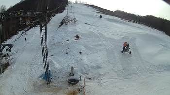Ведмежа 8 березня 2018 року, 2018-03-08 16:00