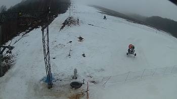 Ведмежа 9 березня 2018 року, 2018-03-09 10:00