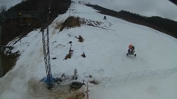 Ведмежа 11 березня 2018 року, 2018-03-11 13:00