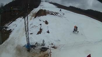 Ведмежа 11 березня 2018 року, 2018-03-11 16:00