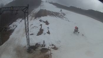 Ведмежа 12 березня 2018 року, 2018-03-12 13:00