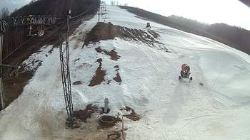 Ведмежа 12 березня 2018 року, 2018-03-12 16:00
