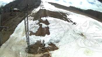 Ведмежа 14 березня 2018 року, 2018-03-14 13:00