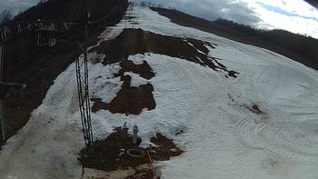Ведмежа 14 березня 2018 року, 2018-03-14 16:00