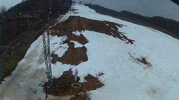 Ведмежа 15 березня 2018 року, 2018-03-15 16:00