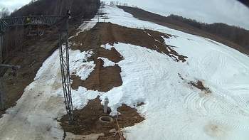 Ведмежа 16 березня 2018 року, 2018-03-16 10:00