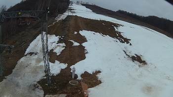 Ведмежа 17 березня 2018 року, 2018-03-17 13:00