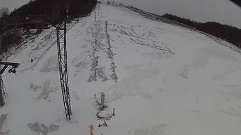 Ведмежа 18 березня 2018 року, 2018-03-18 16:00