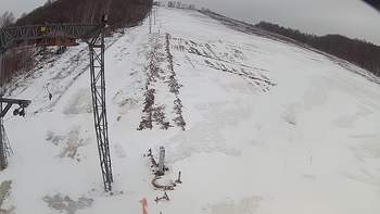 Ведмежа 19 березня 2018 року, 2018-03-19 13:00