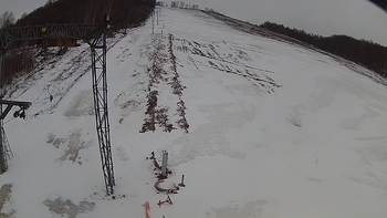 Ведмежа 19 березня 2018 року, 2018-03-19 16:00