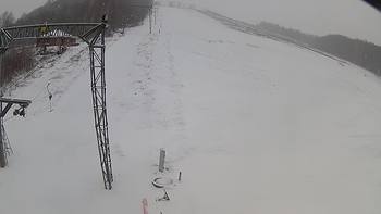 Ведмежа 20 березня 2018 року, 2018-03-20 10:00