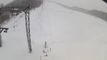 Ведмежа 20 березня 2018 року, 2018-03-20 13:00