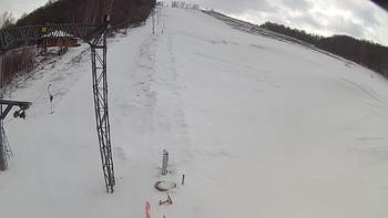 Ведмежа 21 березня 2018 року, 2018-03-21 13:00