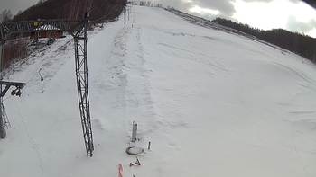 Ведмежа 21 березня 2018 року, 2018-03-21 16:00