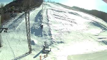 Ведмежа 22 березня 2018 року, 2018-03-22 16:00