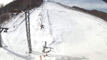 Ведмежа 23 березня 2018 року, 2018-03-23 10:00