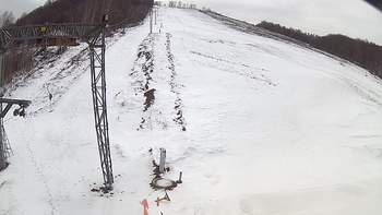 Ведмежа 23 березня 2018 року, 2018-03-23 13:00