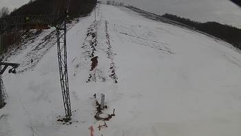 Ведмежа 23 березня 2018 року, 2018-03-23 16:00