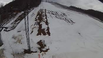 Ведмежа 24 березня 2018 року, 2018-03-24 16:00