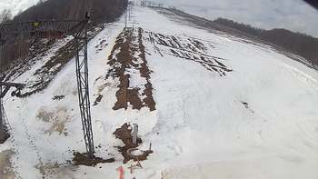 Ведмежа 25 березня 2018 року, 2018-03-25 10:00