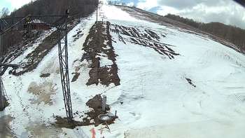 Ведмежа 25 березня 2018 року, 2018-03-25 13:00
