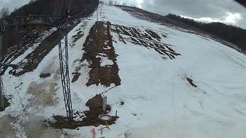 Ведмежа 25 березня 2018 року, 2018-03-25 16:00