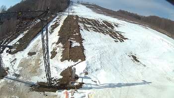 Ведмежа 26 березня 2018 року, 2018-03-26 10:00