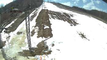 Ведмежа 26 березня 2018 року, 2018-03-26 13:00