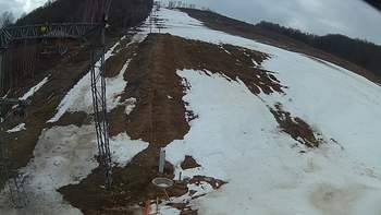 Ведмежа 27 березня 2018 року, 2018-03-27 13:00