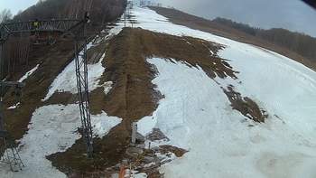Ведмежа 28 березня 2018 року, 2018-03-28 10:00