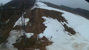 Ведмежа 29 березня 2018 року, 2018-03-29 13:00