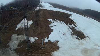 Ведмежа 30 березня 2018 року, 2018-03-30 10:00