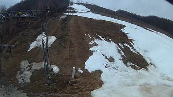 Ведмежа 31 березня 2018 року, 2018-03-31 13:00