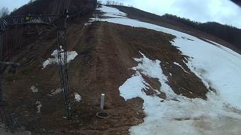 Ведмежа 1 квітня 2018 року, 2018-04-01 10:00