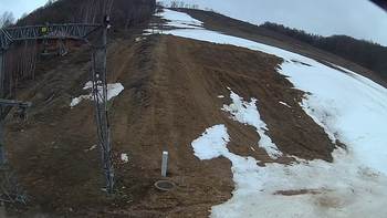 Ведмежа 2 квітня 2018 року, 2018-04-02 13:00