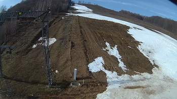 Ведмежа 3 квітня 2018 року, 2018-04-03 10:00