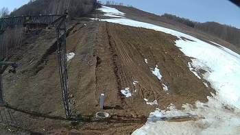 Ведмежа 4 квітня 2018 року, 2018-04-04 10:00