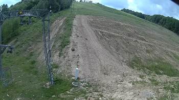Ведмежа 2 червня 2018 року, 2018-06-02 13:00