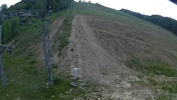 Ведмежа 3 червня 2018 року, 2018-06-03 16:00
