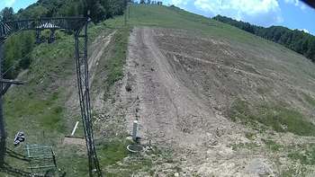 Ведмежа 4 червня 2018 року, 2018-06-04 13:00