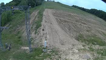 Ведмежа 7 червня 2018 року, 2018-06-07 10:00