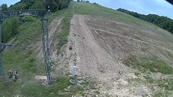Ведмежа 7 червня 2018 року, 2018-06-07 13:00