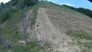 Ведмежа 8 червня 2018 року, 2018-06-08 10:00