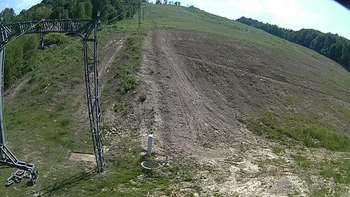 Ведмежа 9 червня 2018 року, 2018-06-09 16:00
