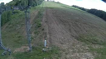 Ведмежа 24 червня 2018 року, 2018-06-24 16:00