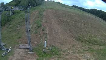 Ведмежа 29 червня 2018 року, 2018-06-29 10:00