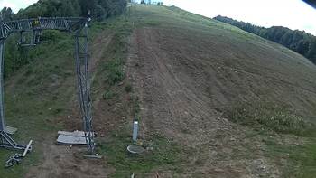 Ведмежа 29 червня 2018 року, 2018-06-29 16:00