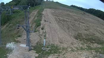 Ведмежа 14 липня 2018 року, 2018-07-14 10:00