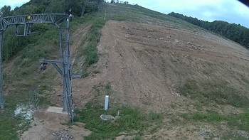 Ведмежа 31 липня 2018 року, 2018-07-31 10:00