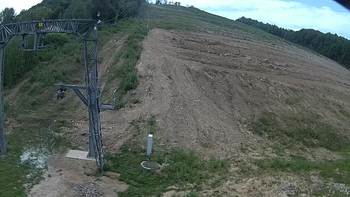 Ведмежа 31 липня 2018 року, 2018-07-31 13:00